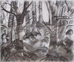 Platz 3: Eliane Straub Trilogie - Die Natur, unser größter Schatz