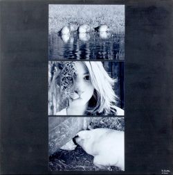 Katharina Liedtke 1. Platz Fotografie