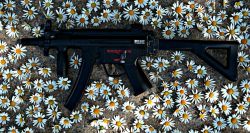 Foto Platz 2: Aaron Wenger - Gunflower