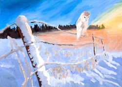 La vie humaine, Philipp Weiler, 1. Platz 2017