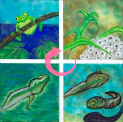 Sprung in die Zukunft - Aimée Ursula Ndongo Zindi, 1. Platz 2022 - Junior